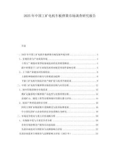2025年中國(guó)工礦電機(jī)車(chē)板彈簧市場(chǎng)調(diào)查研究報(bào)告