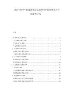 2025-2030中國漂洗化學品安全生產(chǎn)監(jiān)管政策對行業(yè)影響研究