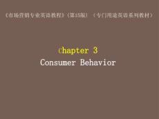 《市場(chǎng)營(yíng)銷專業(yè)英語教程》（第15版） 課件  Chapter 3 Consumer Behavior