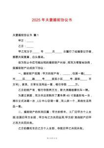 2025年夫妻婚前協議書