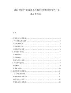 2025-2030中國漂洗處理劑行業(yè)并購重組案例與資本運(yùn)作模式