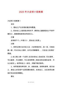 2025年大皮球小班教案