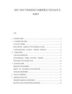 2025-2030中國渦流泵行業(yè)融資模式與資本運作分析報告