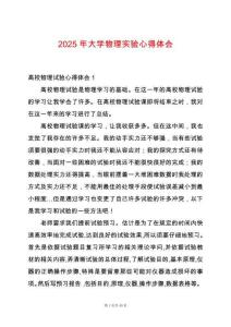 2025年大學物理實驗心得體會