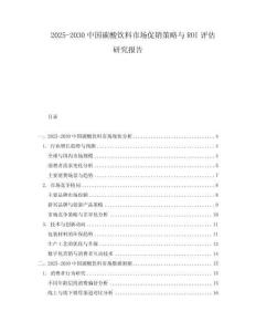 2025-2030中國碳酸飲料市場促銷策略與ROI評估研究報告