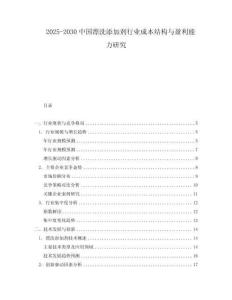 2025-2030中國(guó)漂洗添加劑行業(yè)成本結(jié)構(gòu)與盈利能力研究