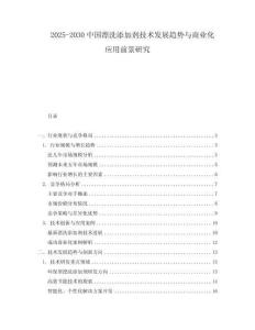 2025-2030中國漂洗添加劑技術(shù)發(fā)展趨勢與商業(yè)化應(yīng)用前景研究