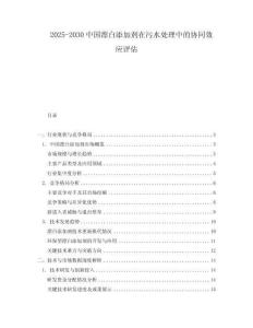 2025-2030中國(guó)漂白添加劑在污水處理中的協(xié)同效應(yīng)評(píng)估