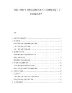 2025-2030中國漂洗添加劑新興應用領域開發與商業化潛力評估
