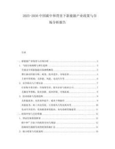 2025-2030中國(guó)碳中和背景下新能源產(chǎn)業(yè)政策與市場(chǎng)分析報(bào)告