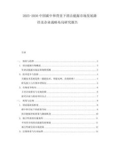 2025-2030中國(guó)碳中和背景下清潔能源市場(chǎng)發(fā)展路徑及企業(yè)戰(zhàn)略布局研究報(bào)告