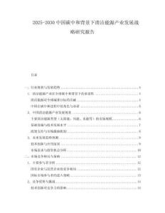 2025-2030中國(guó)碳中和背景下清潔能源產(chǎn)業(yè)發(fā)展戰(zhàn)略研究報(bào)告