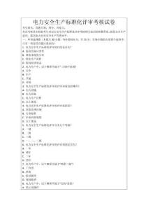 電力安全生產(chǎn)標(biāo)準(zhǔn)化評審考核試卷