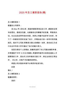 2025年員工離職報(bào)告(精)