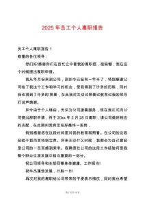 2025年員工個(gè)人離職報(bào)告