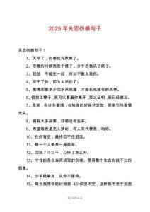 2025年失戀傷感句子