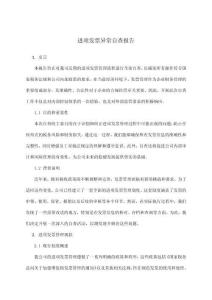 進(jìn)項(xiàng)發(fā)票異常自查報(bào)告