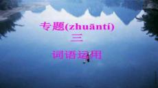 【英語閱讀技巧與訓練】專題三詞語運用概要