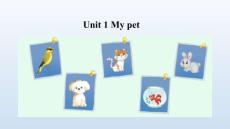 Unit 1 Pets 課件
