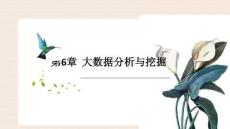 大數(shù)據(jù)技術(shù)導(dǎo)論 課件  第6章 大數(shù)據(jù)分析與挖掘