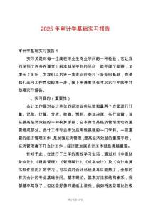 2025年審計(jì)學(xué)基礎(chǔ)實(shí)習(xí)報(bào)告