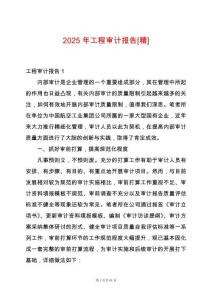 2025年工程審計(jì)報(bào)告[精]