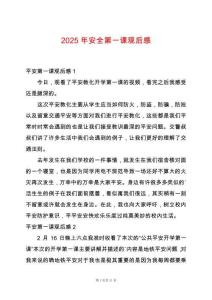 2025年安全第一課觀后感