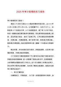 2025年審計(jì)助理的實(shí)習(xí)報(bào)告