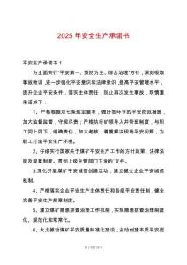 2025年安全生產(chǎn)承諾書