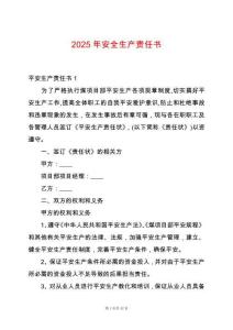2025年安全生產(chǎn)責任書