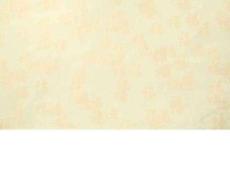 2017雞年計劃年終總結商務匯報模板圖文.12