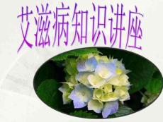 艾滋病專業(yè)課件.23