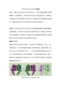 人類(lèi)表皮生長(zhǎng)因子受體HER2