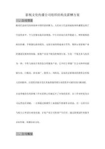 影視文化傳播公司組織結構及薪酬方案