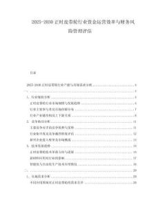 2025-2030正時(shí)皮帶輪行業(yè)資金運(yùn)營(yíng)效率與財(cái)務(wù)風(fēng)險(xiǎn)管理評(píng)估