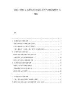 2025-2030金屬冶煉行業(yè)發(fā)展趨勢(shì)與投資戰(zhàn)略研究報(bào)告