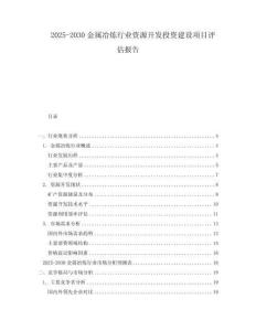 2025-2030金屬冶煉行業(yè)資源開發(fā)投資建設(shè)項(xiàng)目評(píng)估報(bào)告