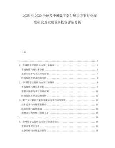2025至2030全球及中國數字支付解決方案行業深度研究及發展前景投資評估分析