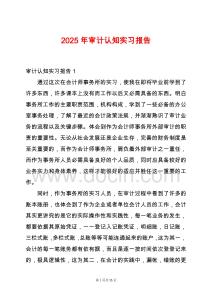 2025年審計(jì)認(rèn)知實(shí)習(xí)報(bào)告