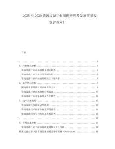 2025至2030錯流過濾行業深度研究及發展前景投資評估分析