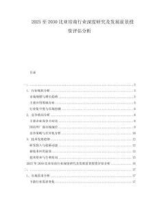 2025至2030比亞培南行業深度研究及發展前景投資評估分析