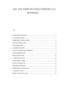 2025-2030雪地拖車軸行業(yè)移動互聯(lián)網(wǎng)營銷與社交媒體策略報告