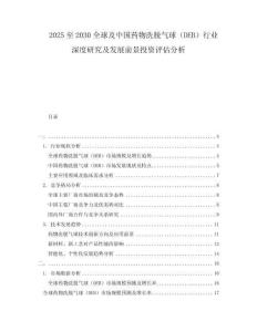 2025至2030全球及中國藥物洗脫氣球（DEB）行業深度研究及發展前景投資評估分析