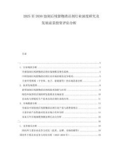 2025至2030蝕刻后殘留物清潔劑行業深度研究及發展前景投資評估分析