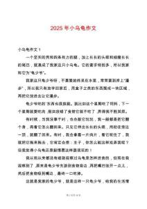 2025年小烏龜作文