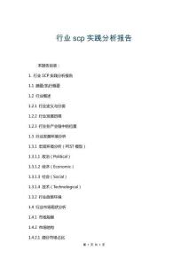 行業scp實踐分析報告