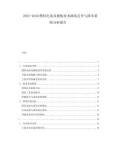 2025-2030燃料電池雙極板技術(shù)路線競爭與降本策略分析報告
