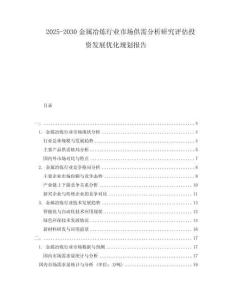 2025-2030金屬冶煉行業(yè)市場供需分析研究評估投資發(fā)展優(yōu)化規(guī)劃報告