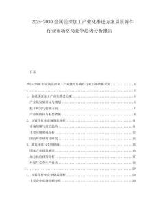 2025-2030金屬鎂深加工產業化推進方案及壓鑄件行業市場格局競爭趨勢分析報告