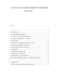 2025至2030充氣皮艇行業深度研究及發展前景投資評估分析